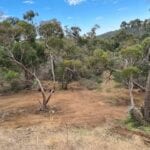 bobcat hire Williamstown bushfire hazard reduction